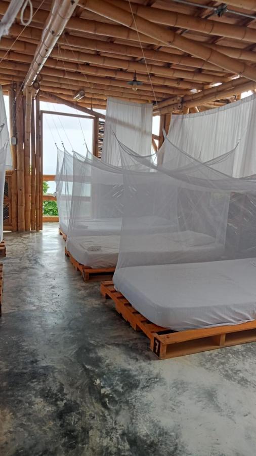 Niuwi Hostel Буритака Экстерьер фото